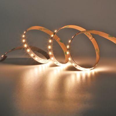 Hot Sale Strip LED Light 6500K