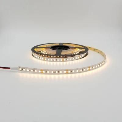 High Brightness New Product DC24V SMD5050/2835 Decoration Flexibile LED Strip