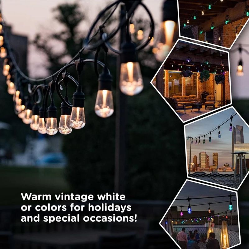 Vintage Seasons LED Warm White & Color Changing Cafe String Lights