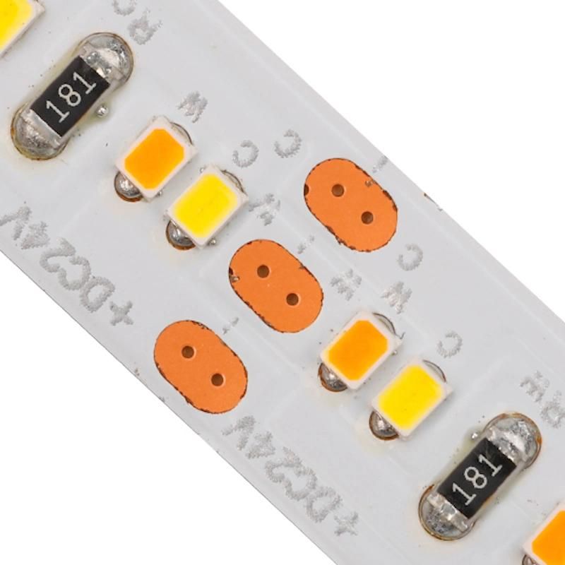 CCT Changing Color SMD2216 High CRI 90 LED Strip Light