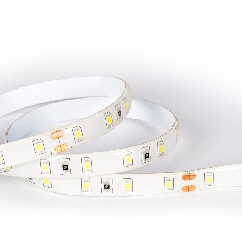 Waterproof IP65 2835SMD 60LEDs/M LED Strip Light with CE RoHS