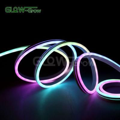 IP65 Waterproof 24V LED Dream Neon Flex Light for LED Lighting Decoration