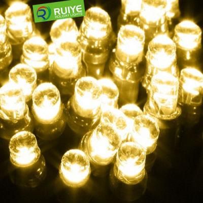 Outdoor F5 Decorative LED String Light with Dome Cover