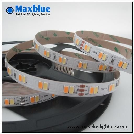 CCT Adjustable Tunable 112LEDs/M Dual White 5630SMD LED Strip Light