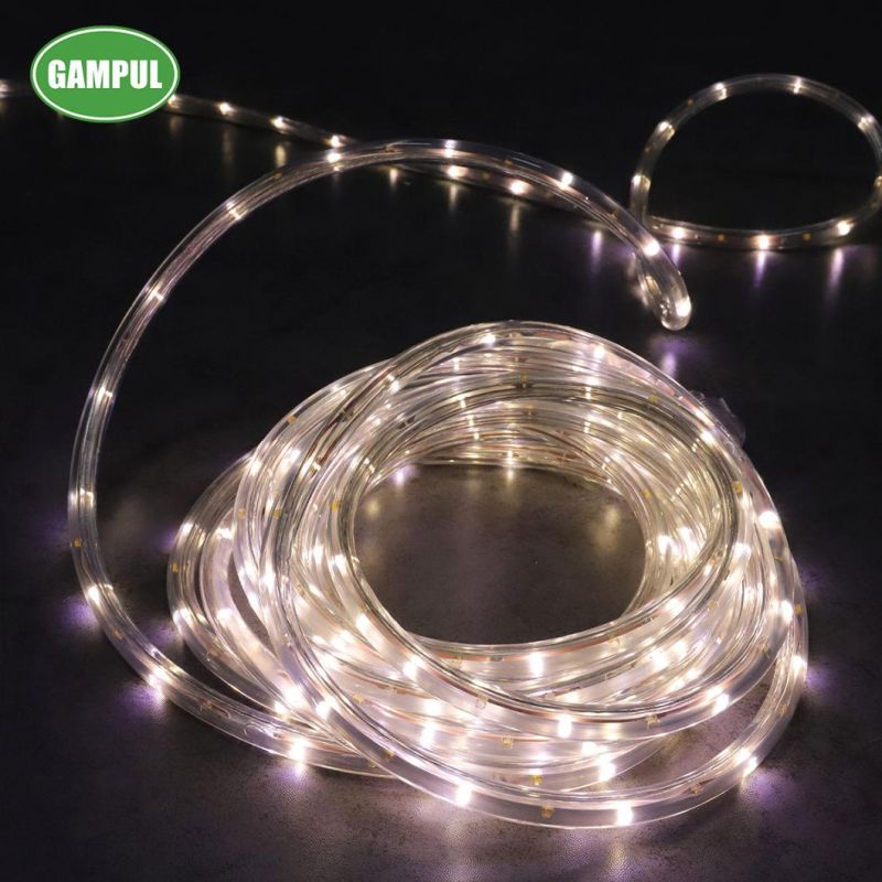 China Color Changed White Flexible LED Decorative Rope Light 3528SMD