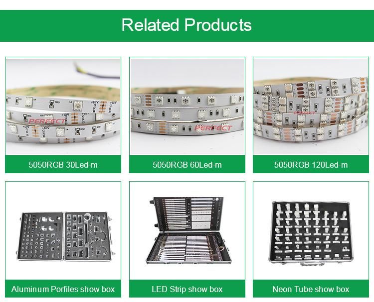 CE&RoHS Certificated LED Strip RGB+CCT LED Flexible Strip Light 12V/24V LED Linear Lighting