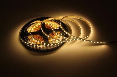 5mm Ultra Thin LED Strip Light 24V PCB 2835 120ledsled Flexible White Tape Strip Lights