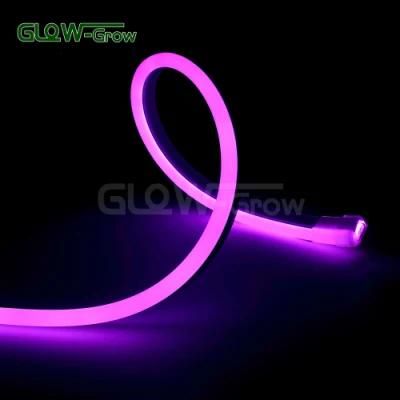 Soft Brightness 230V IP65 Waterproof RGB Sync Single Side LED Neon Flex Light for Outdoor Decoration