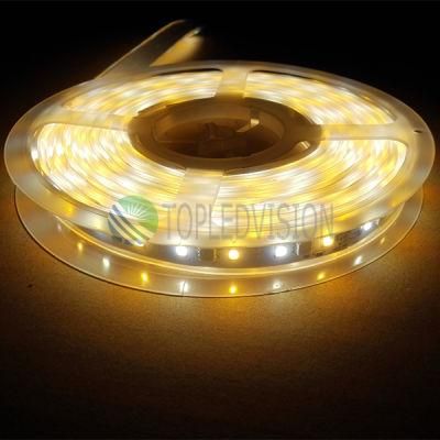 High Lumen RGBW LED Strip with Good Quality SMD5050 (60LEDs/M)