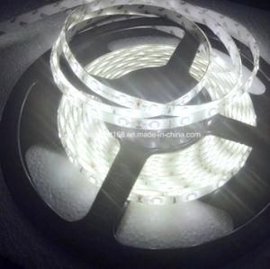 High Quliaty LED Strip Light Hot Supply