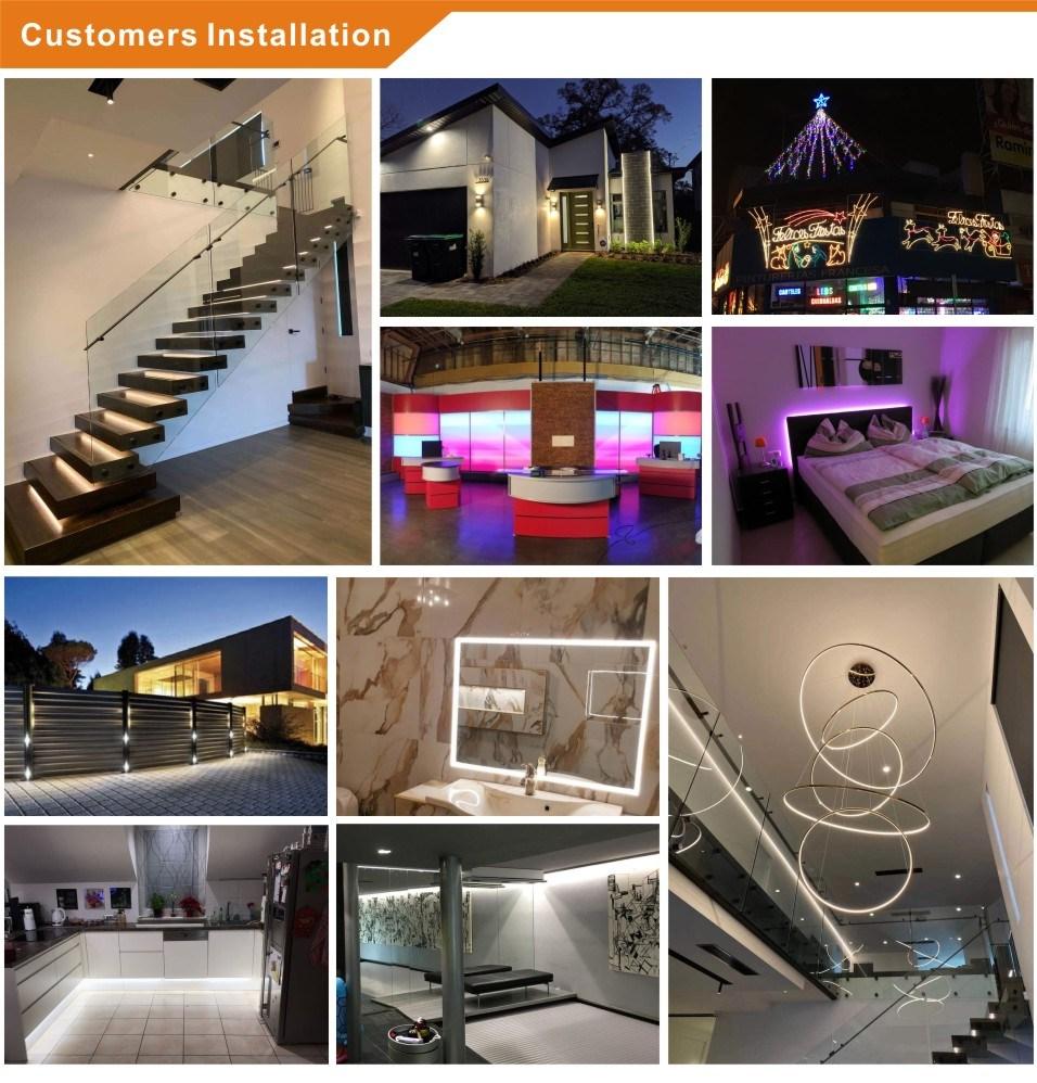24V 2835 Led Strip Light 156Leds/M 5Mm   Digital Led Strip