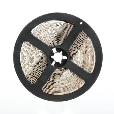 2022 New 3000K 24V LED Strip Light