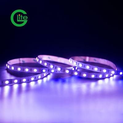 3years Warranty LED Light Strip SMD5050 RGBW 60LED DC24 Single Color Strip for Lighting Decoration