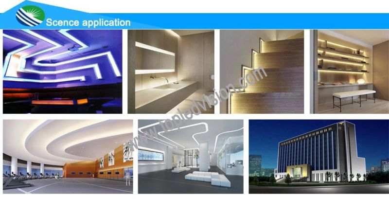 300LEDs 5m 3528 LED Rope Light with TUV Ce FCC