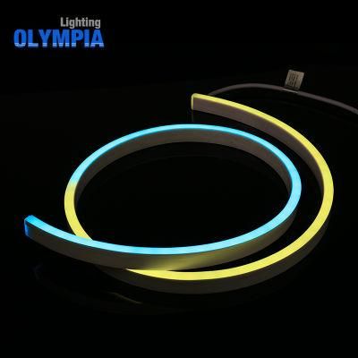 Pool Waterproof IP68 DMX Signs Mini LED Neon Flex Strip