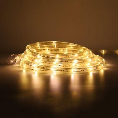 White Color Waterproof 9.1m Christmas Decoration LED Strip Rope Light