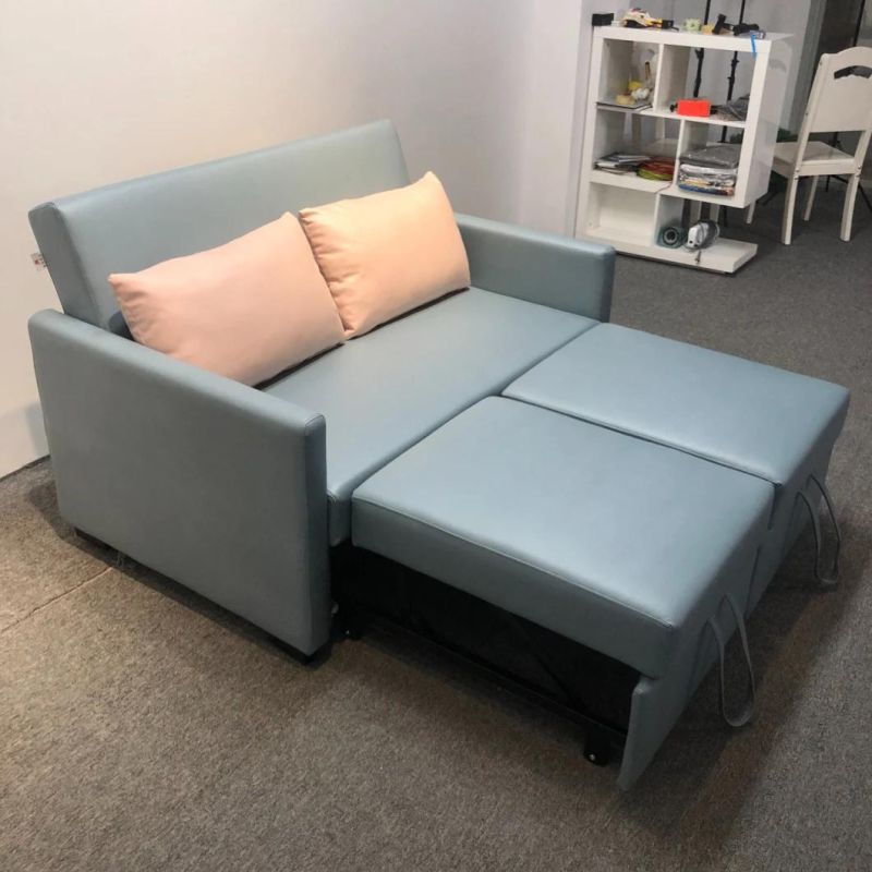 Folding Sofa Bed Small Apartment Double-Seat Multifunctional Dual-Purpose Sofa