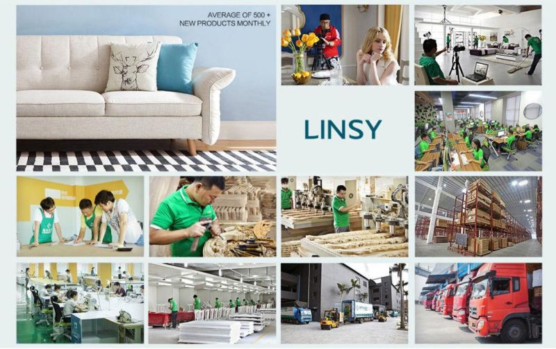 Linsy Sponge Sofa China Lift Chair Manual Recliner with Armrest