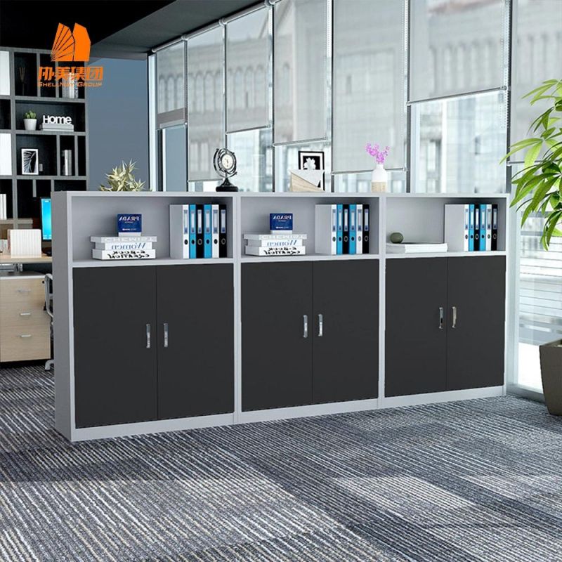 Display Shelf, High Quality Steel Cabinet, File Cabinet