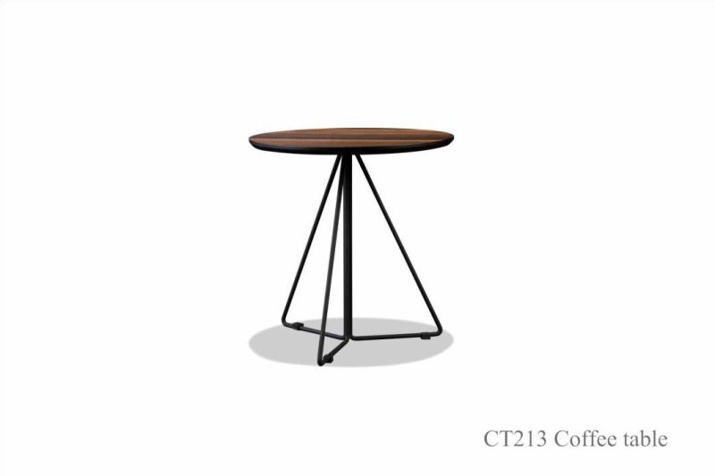 CT211 Metal Side Table/Metal Coffee Table in Home Furniture and Hotel Furniture