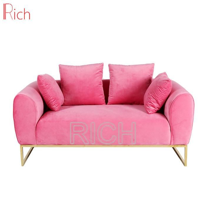 Different Color Loveseat Couch Two Seat Velvet Sofa Set for Living Room