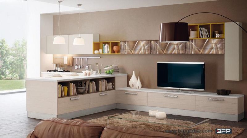 Modern Functional Design Melamine Finish TV Cabinets 