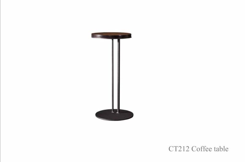 CT211 Metal Side Table/Metal Coffee Table in Home Furniture and Hotel Furniture