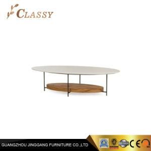 Solid Wood Layer Metal Base Living Room Office Coffee Table