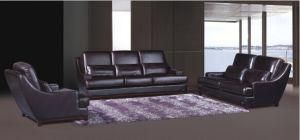 Modern Leather Sofa with Genuine Leather Couches