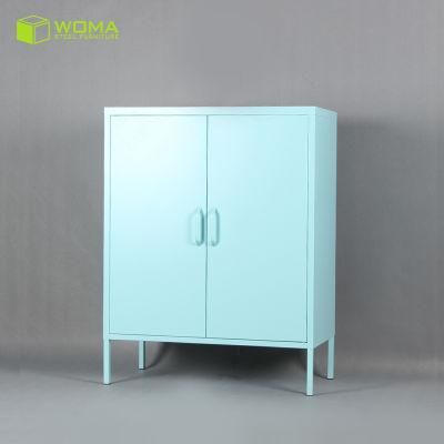 Living Room 2 Door Metal OEM Furniture Storage Cabinet