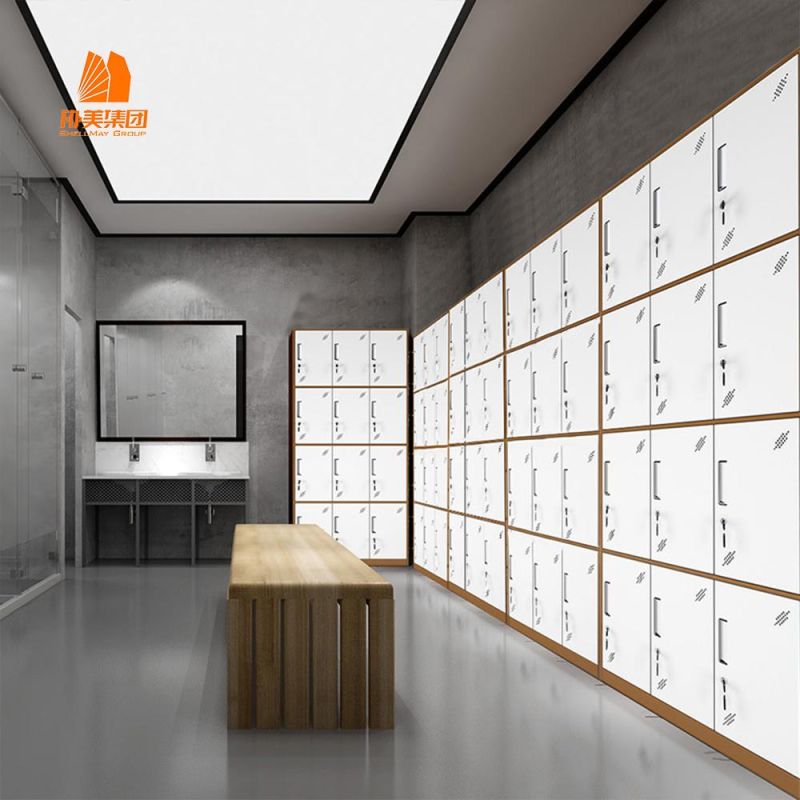 Factory Direct Sale, Knock-Down Construction, Wholesale School or Public Lockers, Steel Storage Cabinet, Metal Wardrobe.