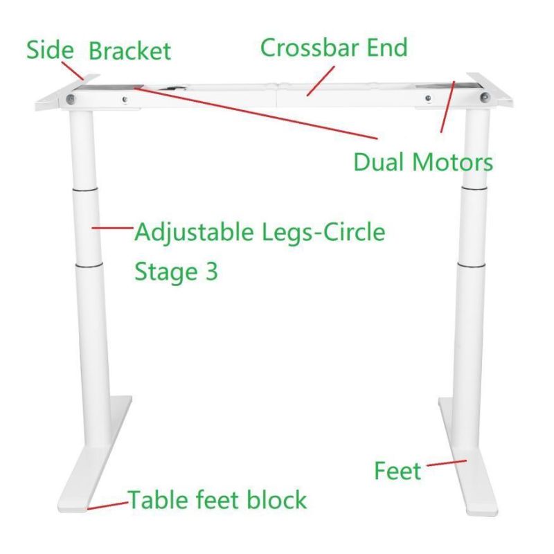 School Furniture Circle Stage 3 Dual Motor Height Adjustable Standing Desks for Office Use and Home Use