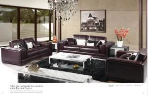 Moder Sofa with Genuine Leather Sofa for Living Room Furniture