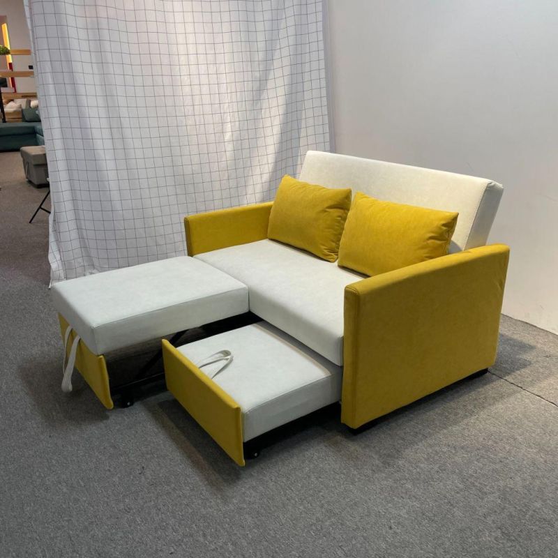 Folding Sofa Bed Small Apartment Double-Seat Multifunctional Dual-Purpose Sofa Bed