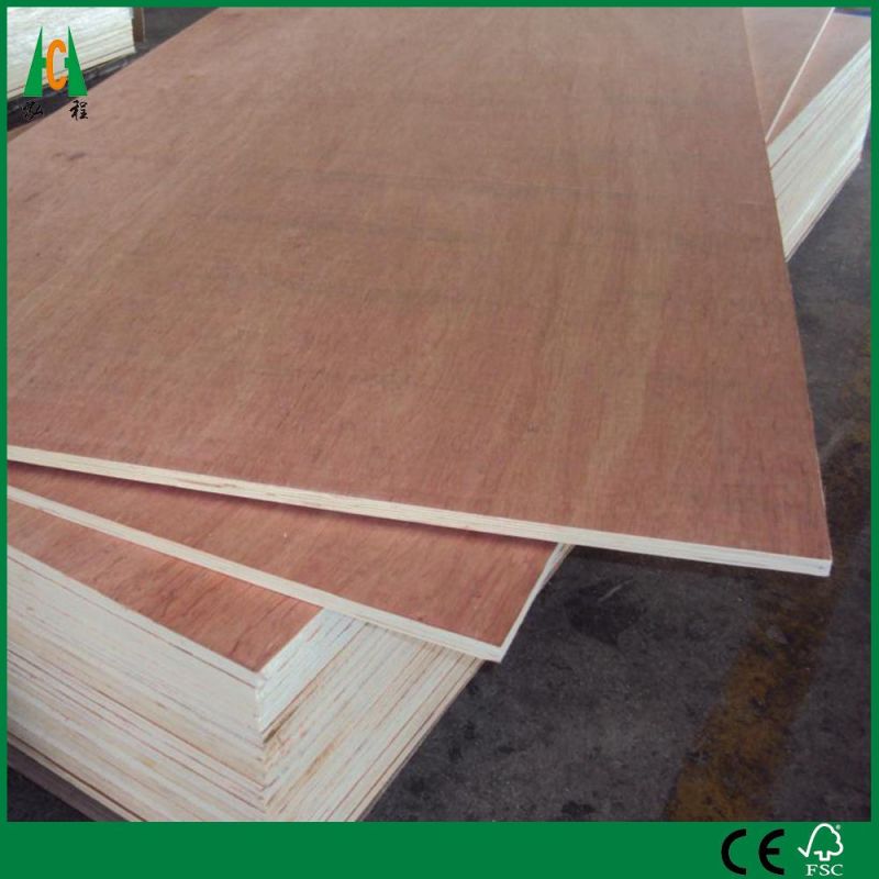 18mm Veneer Laminated Wood Furniture Plywood Board