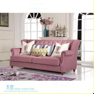 Jane European Style Living Room Leather Sofa Set (HW-2028S)