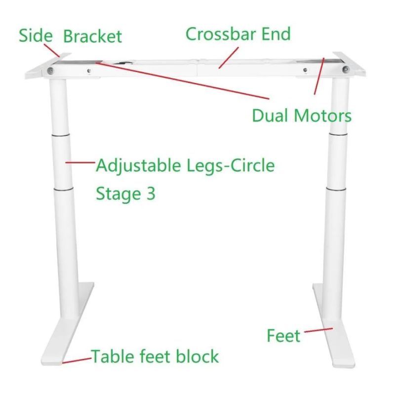 Comfortable Circle Dual Motor Stage 3 Height Adjustable Standing Desks for Office Use and Home Use