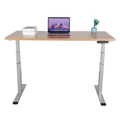 Carton Export Packed Work Station Adjustable Standing Electric Standing Desk