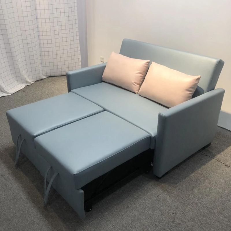 Folding Sofa Bed Small Apartment Double-Seat Multifunctional Dual-Purpose Sofa