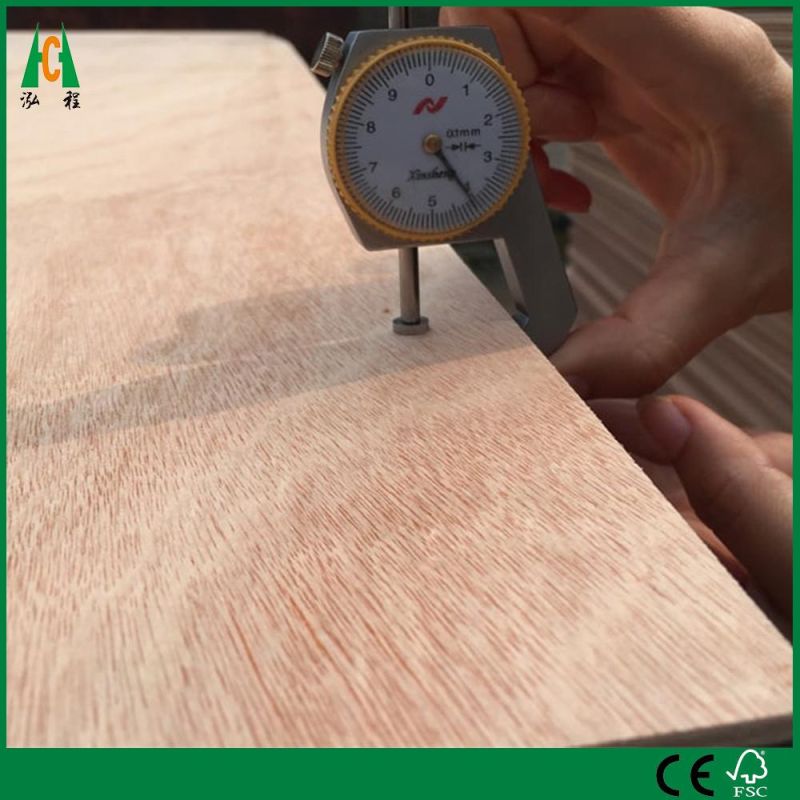 18mm Veneer Laminated Wood Furniture Plywood Board