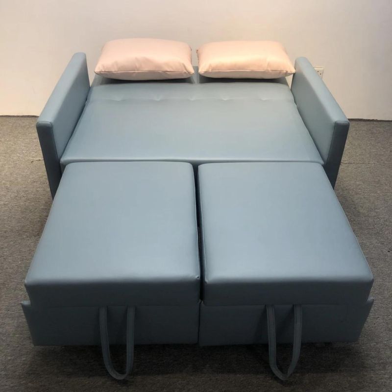 Folding Sofa Bed Small Apartment Double-Seat Multifunctional Dual-Purpose Sofa