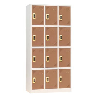 Colorful 12 Door Metal Locker Steel Lockers Cabinets for Gym Home School