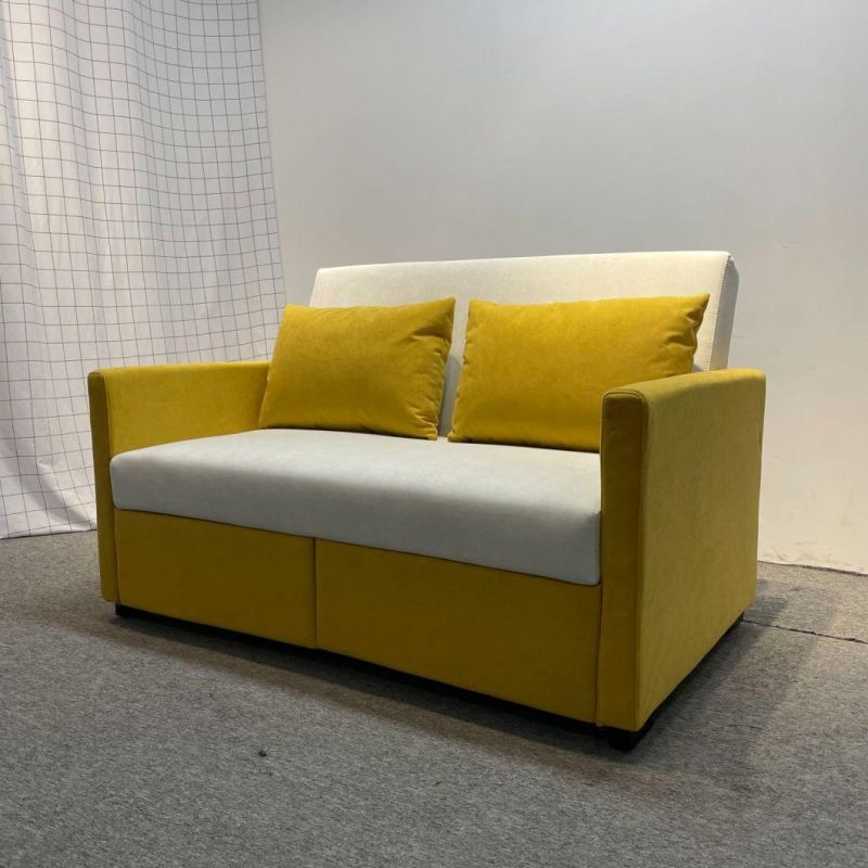 Folding Sofa Bed Small Apartment Double-Seat Multifunctional Dual-Purpose Sofa Bed