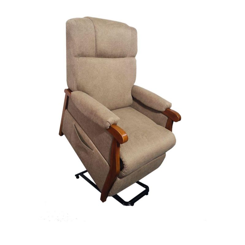 Good Feedback Power Lift Chair (QT-LC-05)