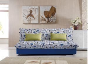 Storage Sofa. Sofa Bed