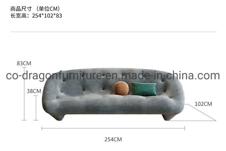 Modern European Style Sponge Leisure Sofa for Living Room Furniture