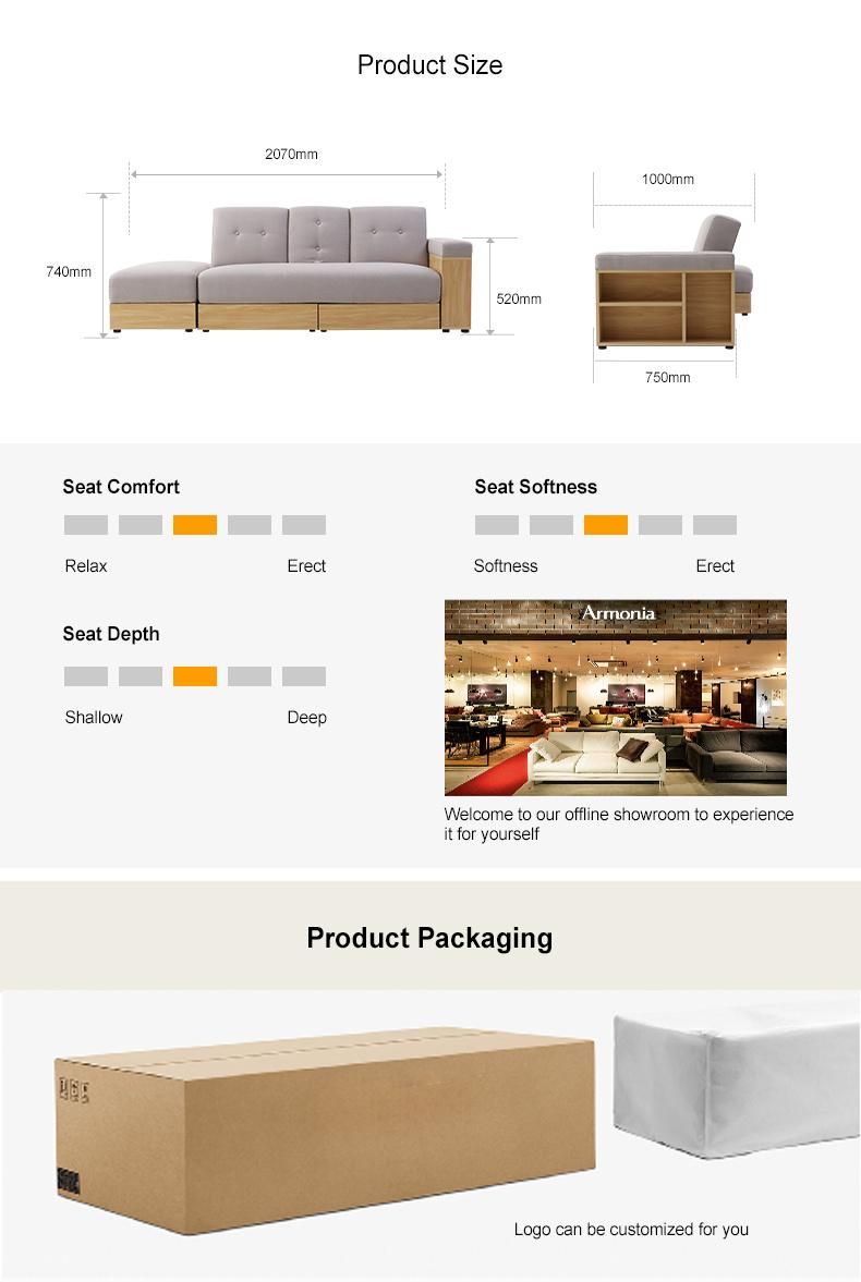 Wood Frame Sofa Kd Sofa Home Use with Storage Sofa Bed