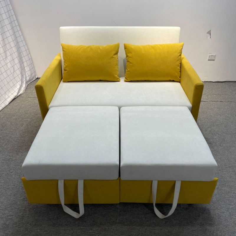 Folding Sofa Bed Small Apartment Double-Seat Multifunctional Dual-Purpose Sofa Bed