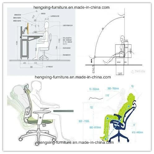 Hot Sell Beatuy Color Office Furniture Home Set Swivel Swing Leisure Chair