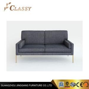 European Style furniture Loveseat Grey Sofa for Small Place